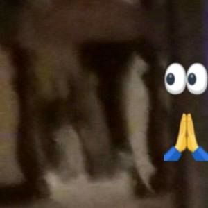 Meet your Posher, Vicky